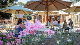 Zona de cafetería al aire libre con sombrillas y flores en Huttopia La Forêt de Janas, sur de Francia.