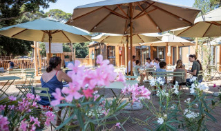 Zona de cafetería al aire libre con sombrillas y flores en Huttopia La Forêt de Janas, sur de Francia.