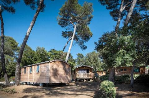 Cabañas de madera entre altos pinos bajo el cielo azul en Huttopia La Forêt de Janas, Provence-Alpes-Côte d’Azur, Francia.