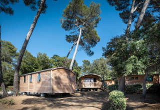Cabanes en bois sous de grands pins et ciel bleu au Huttopia La Forêt de Janas, Provence-Alpes-Côte d’Azur, France.