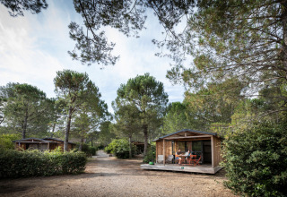 Træhytter i skoven ved Chalet Evasion, Huttopia La Forêt de Janas i Frankrig, med folk på terrassen.