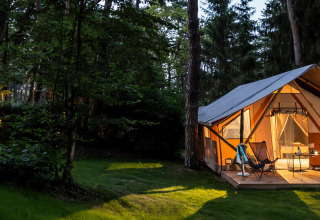 Illuminated safari tents in a forest during evening, featuring deck chairs and green surroundings.
