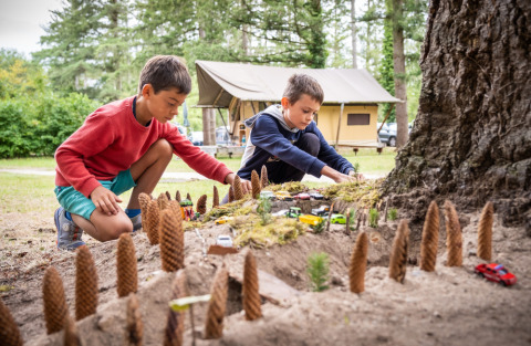 Dos niños juegan con coches de juguete y piñas cerca de un árbol en una zona de acampada en el bosque.