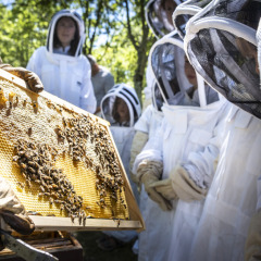Niños con trajes de protección observan a un apicultor mostrar un panal en Village Huttopia Pays de Condrieu.