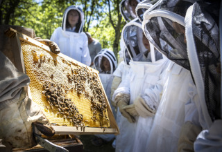 Kinder in Schutzanzügen beobachten einen Imker mit einer Bienenwabe im Village Huttopia Pays de Condrieu.
