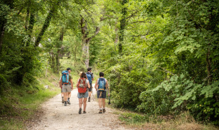 Un grupo de excursionistas camina por un sendero boscoso cerca de Tupin-et-Semons, Auvernia-Ródano-Alpes, Francia.