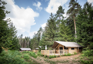 Tenda safari immersa in una foresta tranquilla con alberi verdi, cielo azzurro e atmosfera rilassante.