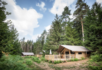 Tente safari dans une forêt paisible avec des arbres verts, ciel bleu et ambiance de camping tranquille.