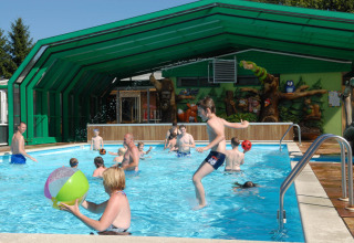 Bambini e adulti si divertono in piscina al Veluwecamping De Pampel, parco vacanze a Gelderland, Paesi Bassi.