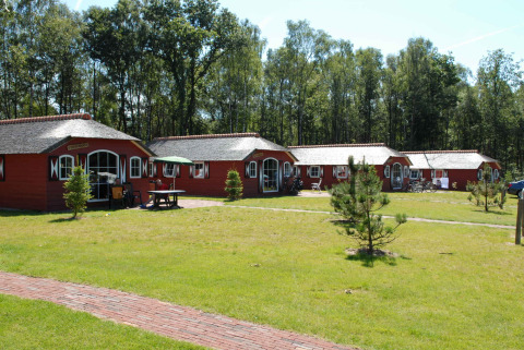 Casas rojas en Veluwecamping De Pampel, rodeadas de césped y árboles, en un parque vacacional de Gelderland, Países Bajos.