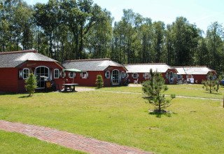 Casas rojas en Veluwecamping De Pampel, rodeadas de césped y árboles, en un parque vacacional de Gelderland, Países Bajos.