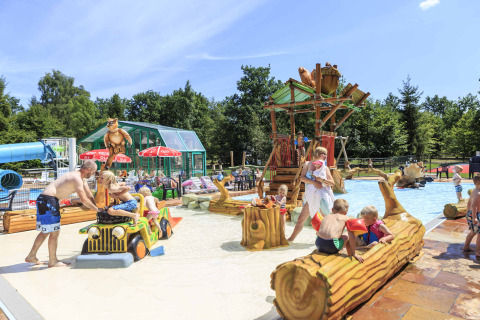 Bambini che giocano e si divertono in un parco acquatico all'aperto a Veluwecamping De Pampel, Gelderland.