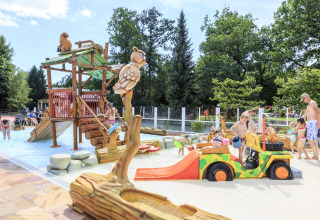 Niños juegan en una zona acuática con figuras de animales y toboganes en Veluwecamping De Pampel, Gelderland, Países Bajos.