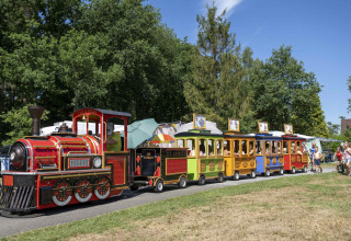 Tren infantil de colores circula por Veluwecamping De Pampel, rodeado de familias, tiendas y naturaleza.
