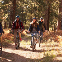 Cuatro personas montan bicicletas por un sendero en el bosque dentro de un parque vacacional de glamping.