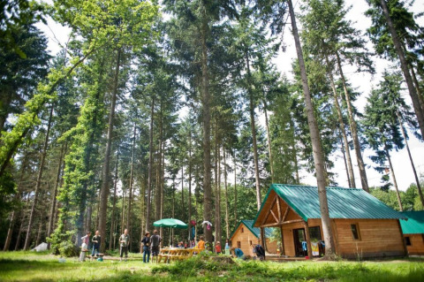 Familias disfrutan al aire libre cerca de cabañas de madera en el bosque de Village Huttopia Senonches, Francia.