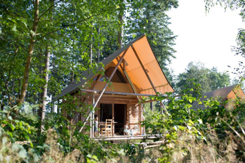 Gezellige houten hut met tentdak tussen bomen in Village Huttopia Senonches, Centre-Val de Loire, Frankrijk.