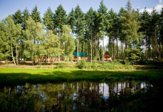 Wooden cabins with green roofs in a forest by a pond at Village Huttopia Senonches, Centre-Val de Loire, France