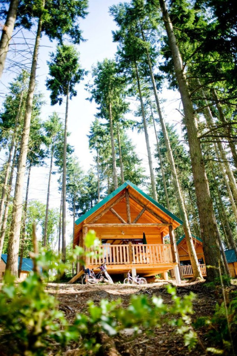 Houten chalet in Village Huttopia Senonches, omringd door hoge bomen, vakantiepark in Centre-Val de Loire, Frankrijk.