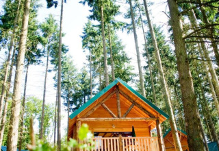 Cabane en bois au Village Huttopia Senonches, entourée de grands arbres dans un parc de vacances du Centre-Val de Loire, France.
