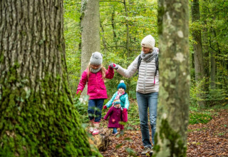 Een familie maakt een boswandeling in Village Huttopia Senonches, Centre-Val de Loire, Frankrijk.