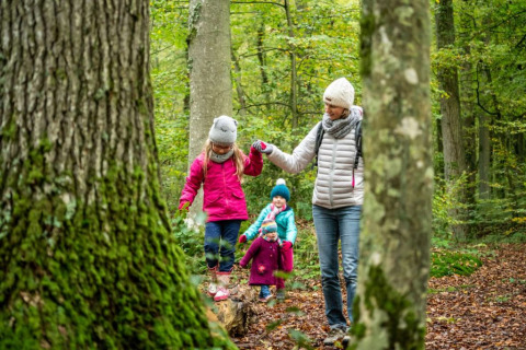 Een gezin wandelt door het bos bij Village Huttopia Senonches in Centre-Val de Loire, Frankrijk.