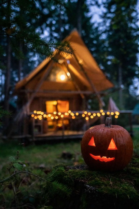 Une citrouille sculptée éclairée repose devant une cabane décorée de guirlandes lumineuses en forêt.