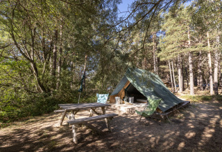 Foto de la tienda tipi Bonaventure en el bosque, con mesa de picnic y silla bajo árboles soleados.
