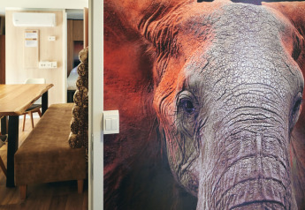 Interior de SunLodge Sabai en Camping Gasparina, Italia, con un gran mural de elefante en la pared.