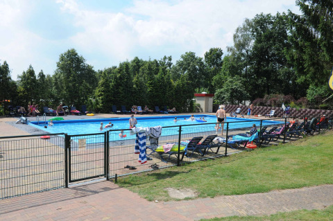 Outdoor swimming pool at Veluwecamping 't Schinkel holiday park in Gelderland, Netherlands, with guests relaxing.