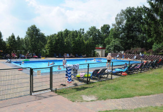 Outdoor swimming pool at Veluwecamping 't Schinkel holiday park in Gelderland, Netherlands, with guests relaxing.