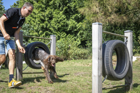 Mand træner en hund, der hopper gennem et dæk på en forhindringsbane på Veluwecamping 't Schinkel.