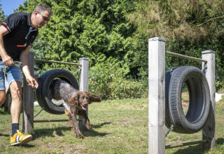 Mand træner en hund, der hopper gennem et dæk på en forhindringsbane på Veluwecamping 't Schinkel.