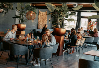 Des clients dînent dans un restaurant moderne avec de grandes plantes au Camping de Italiaanse Meren en Gueldre.