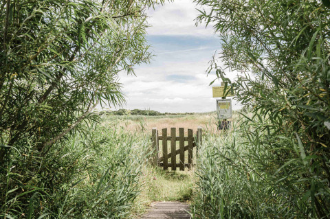 Wooden gate leading to a grassy field surrounded by greenery at Duynpark Het Zwanenwater, Netherlands.