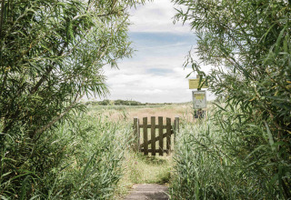 Wooden gate leading to a grassy field surrounded by greenery at Duynpark Het Zwanenwater, Netherlands.