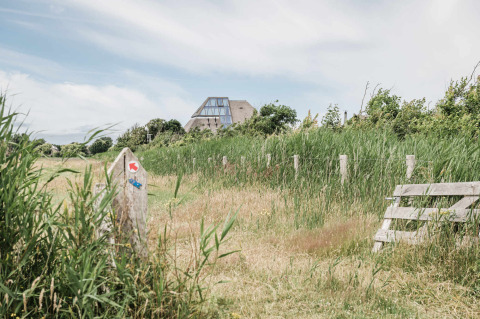 View of a holiday home with large windows at Duynpark Het Zwanenwater, surrounded by grass and greenery.