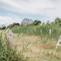 View of a holiday home with large windows at Duynpark Het Zwanenwater, surrounded by grass and greenery.