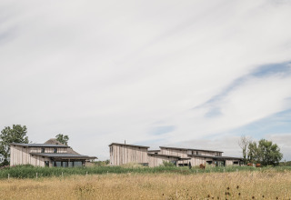 Wooden lodges at Duynpark Het Zwanenwater holiday park amid grassy fields in North Holland, Netherlands.