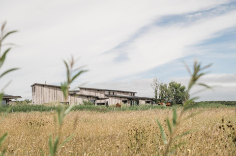 Holiday park house at Duynpark Het Zwanenwater, North Holland, Netherlands, surrounded by tall grass.