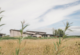 Ferienpark Duynpark Het Zwanenwater in Nordholland, Niederlande, mit moderner Holzbebauung und Natur.