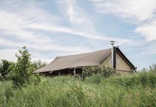 Glampingzelt im Duynpark Het Zwanenwater, umgeben von hohem Gras in der Natur von Nordholland, Niederlande.