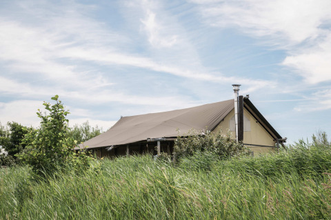 Tienda de glamping en Duynpark Het Zwanenwater, rodeada de hierba alta y naturaleza en el norte de Holanda.