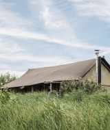 A glamping tent at Duynpark Het Zwanenwater holiday park, surrounded by tall grass and nature in North Holland.