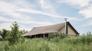 Glampingzelt im Duynpark Het Zwanenwater, umgeben von hohem Gras in der Natur von Nordholland, Niederlande.