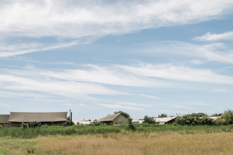 Duynpark Het Zwanenwater in Nordholland, Niederlande, mit Zeltunterkünften und malerischer Landschaft.