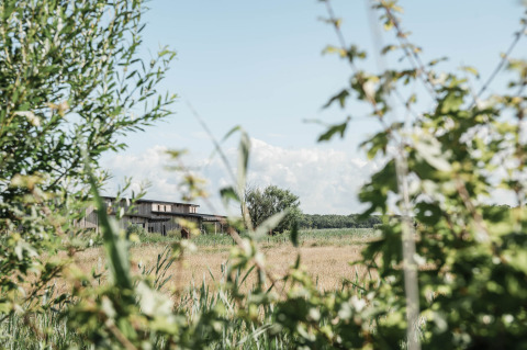 Landscape near Callantsoog, North Holland, with trees, a grassy field, and a barn under blue sky.