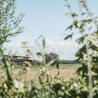 Landschaft bei Callantsoog, Nordholland, Niederlande, mit Bäumen, Wiese und einem Bauernhaus.
