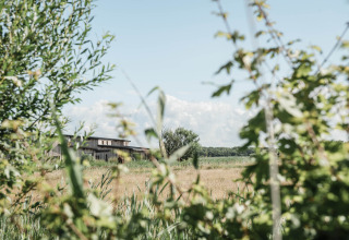 Paesaggio vicino a Callantsoog, Olanda Settentrionale, con alberi, campo erboso e fienile sullo sfondo.