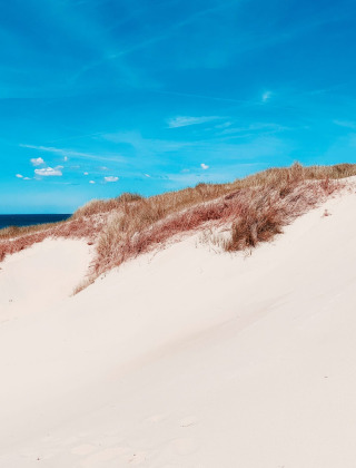 Sanddünen und Strand in der Nähe von Callantsoog, Nordholland, Niederlande unter blauem Himmel.